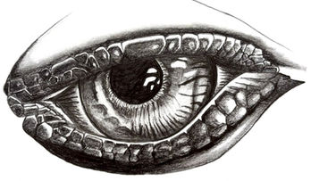 Reptile eye