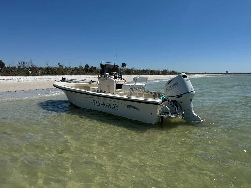 Thumbnail: 1999 Parker 1801 18' Center Console Boat 2021 Suzuki 115 hp Warranty Trailer