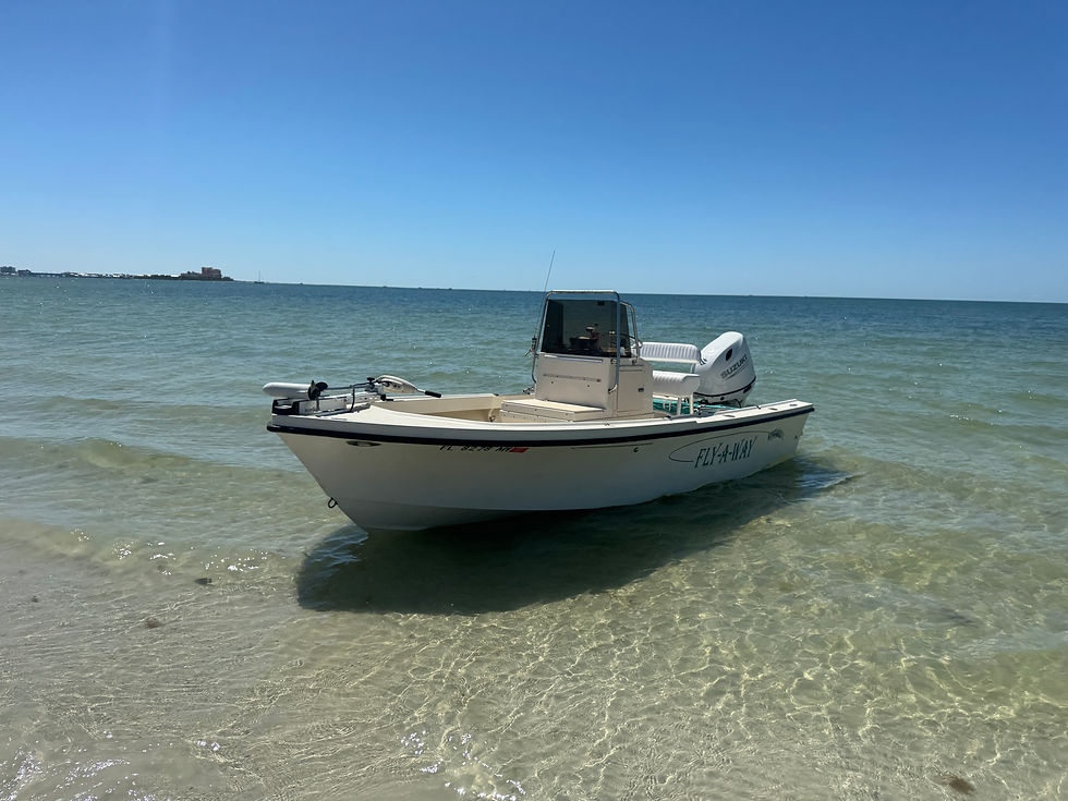 Thumbnail: 1999 Parker 1801 18' Center Console Boat 2021 Suzuki 115 hp Warranty Trailer