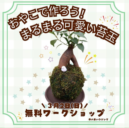 令和7年3月23日 おやこでまるまる可愛い苔玉を作ろう!
