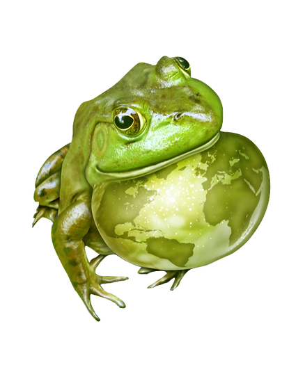 frog planet.png