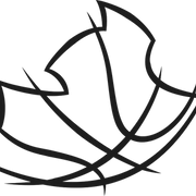 Ligue Sud Basket Ball