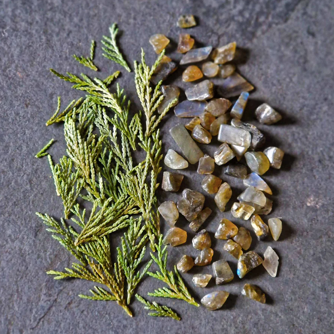 Pine, Amber, Black Spruce, Sandalwood Intention Oil