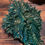 Thumbnail: Pagan Green Man Wall Plaque