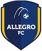 allegro1.png