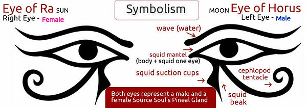 eye of Horus set3.jpg