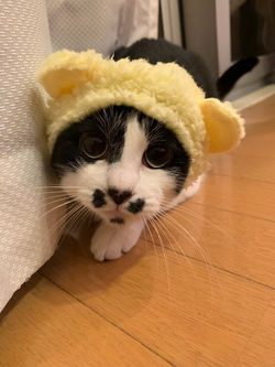 里親様のおうちにて