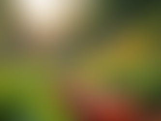 Getting Involved: Volunteer Opportunities at Hope Reformed