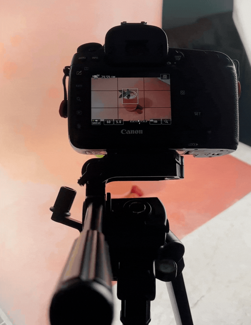 Graze x HeronBrambleMerlotKo6 Project Proposal (3).gif