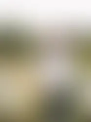 SANDY'S FARM & GARDEN CENTRE