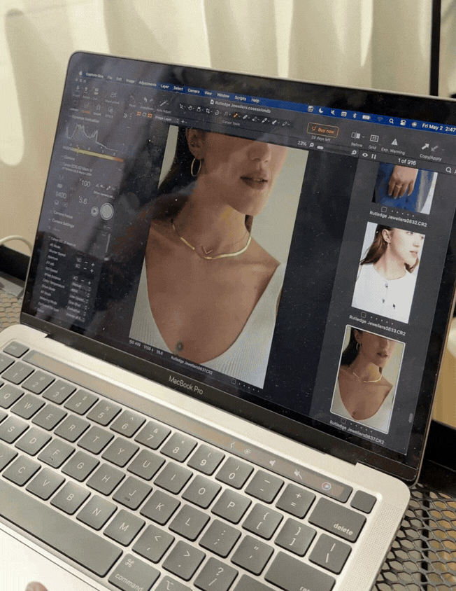 Graze x HeronBrambleMerlotKo6 Project Proposal (4).gif