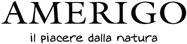 LOGO-AMERIGOx2-400x95.png