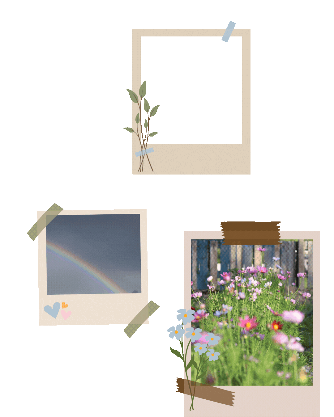 Pink and Blue Vibrant Flower Shop Instagram Post.gif
