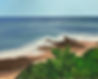 IMG_0338.jpeg