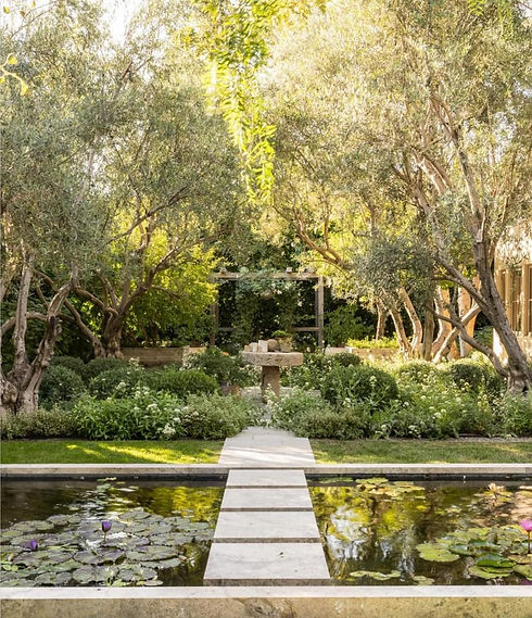 WhatsApp Image 2025-11-12 at 13.07.23.jpeg