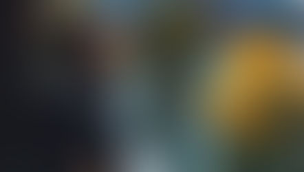 “Sorpresa”: una suite sul lago di Sauris