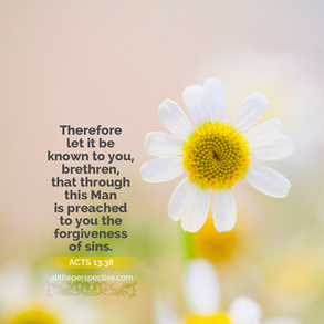 Nov 15, Acts 13-14