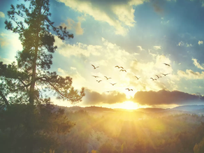 A daily prayer during this COVID-19 crisis for September 14, 2020