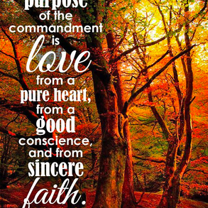 Dec 13, 1 Timothy 1-6