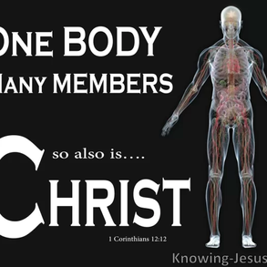 Dec 1, 1 Corinthians 12-14