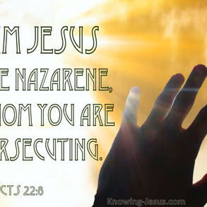 Nov 19, Acts 22-23