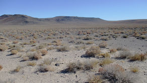 A daily prayer during this COVID-19 crisis for February 18, 2021