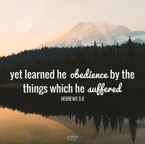 Dec 17, Hebrews 5-8
