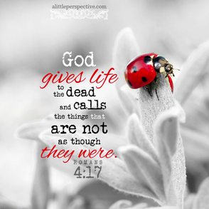 Nov 23, Romans 4-5