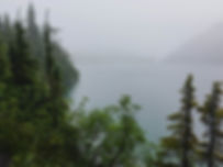 IMG_7817.jpg