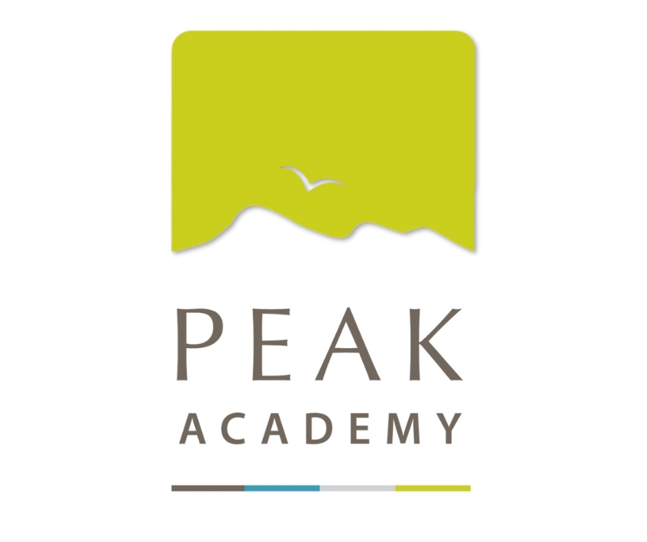 Peak Academy logo