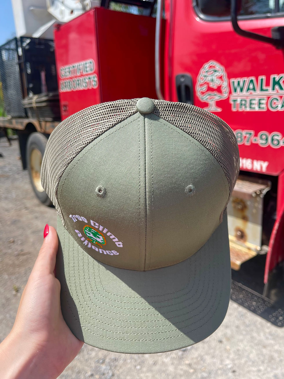 Thumbnail: Tree Climb Alliance Hat