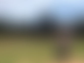 Client blog: Eyes on the prize