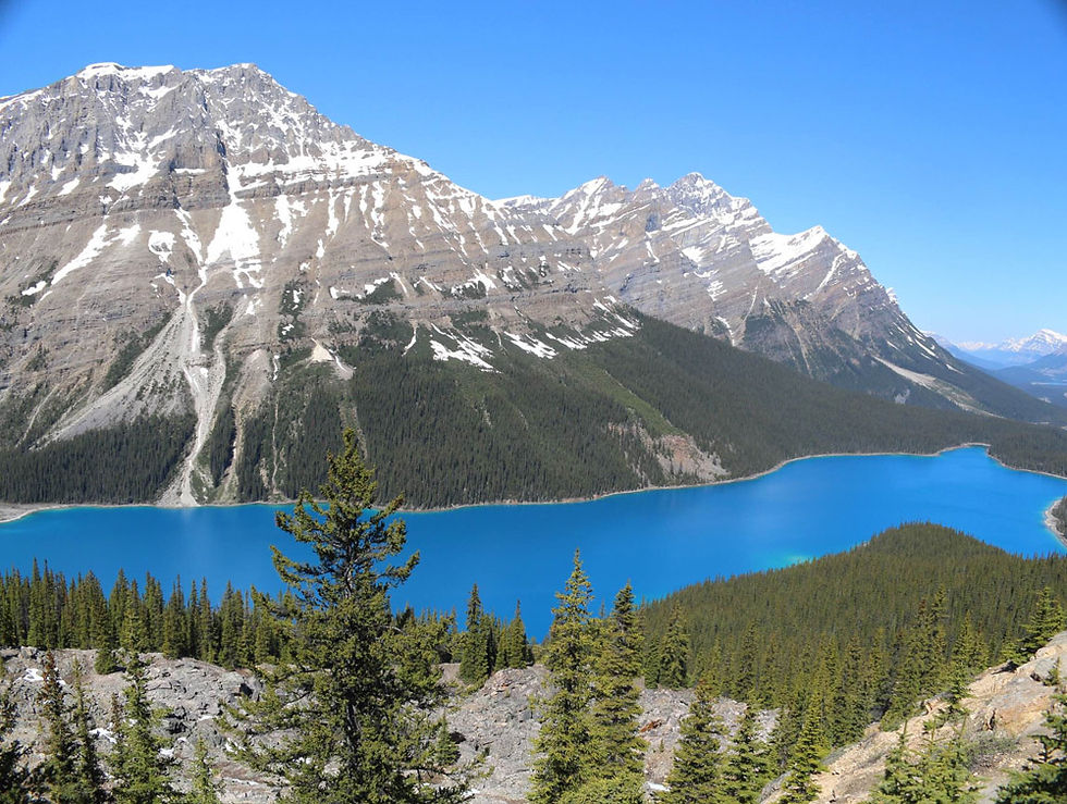 Lake Peyto