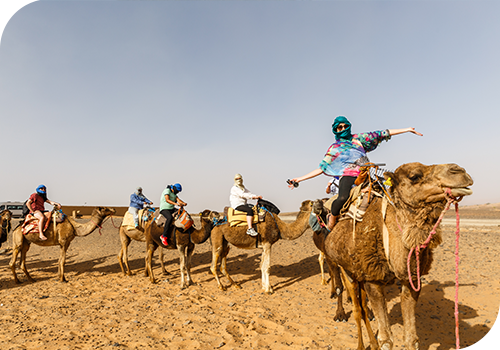 Best of Morocco