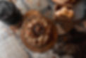 Wildpraat_November 2023_Aranka Sinnema_LR-20.jpg