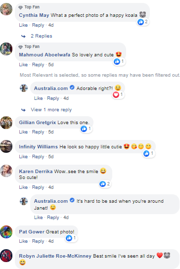 Comments' section