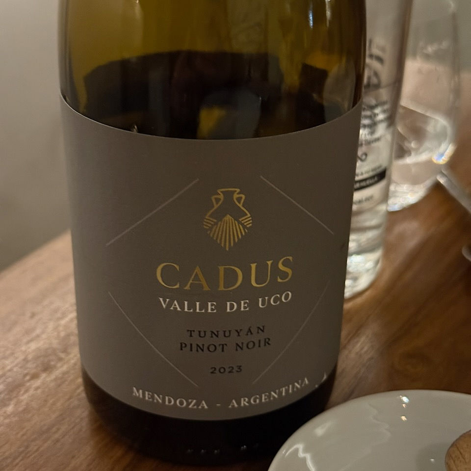 Close-up of a 2023 Cadus Pinot Noir from Valle de Uco, featured in Alcanfor’s wine selection in Buenos Aires.