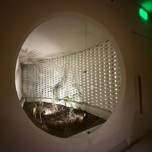 Circular interior window at Horta revealing a small indoor garden with plants.