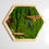 Thumbnail: Wooden Hexagon Moss Mirror with Preserved Mushrooms