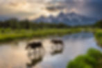 Scott Wheeler Photography Moose Pond Grand Teton Mountain