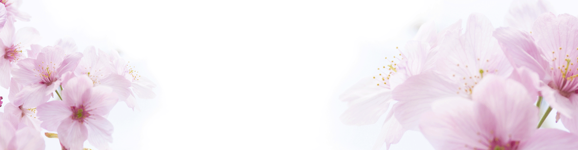 bg.gif
