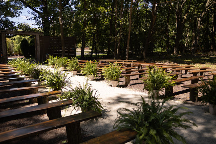 Rows of wooden benches on a gravel path lined with ferns