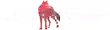 redwaves.png