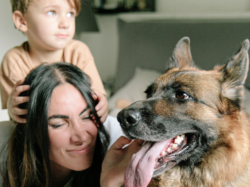 Guest Post: How Dogs Positively Impact Mental Health