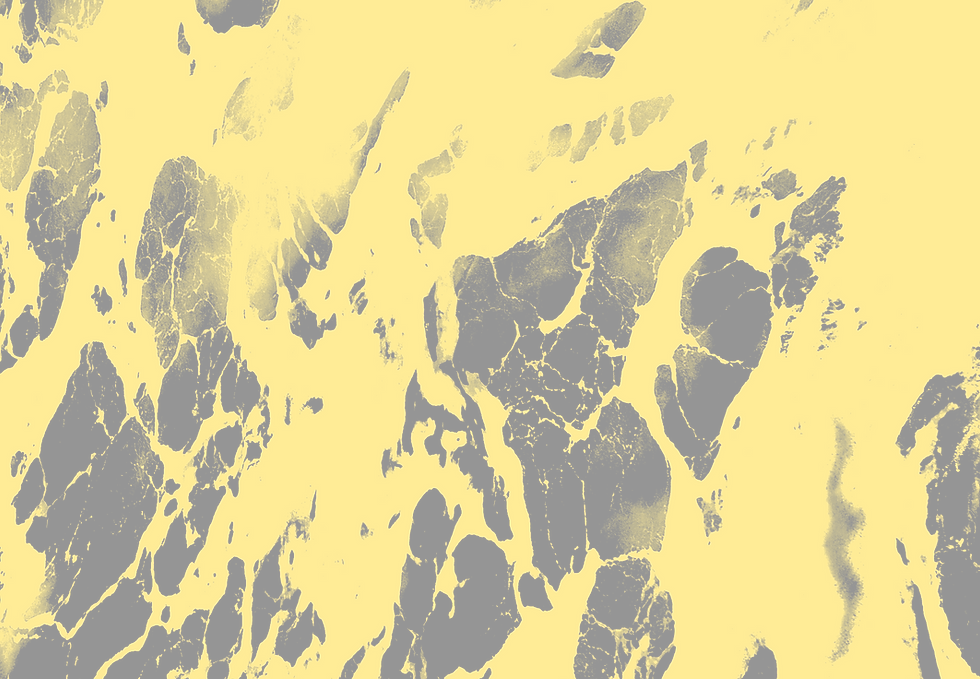 Marble Surface background