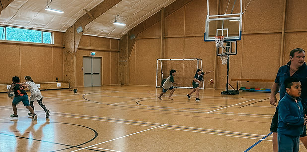 Children Playing Basket Ball Fox Glacier Sports Stadium
