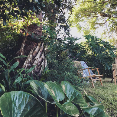 Garden Design Sydney | The Garden Social | Australia