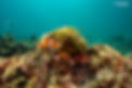 DSC03492.jpg