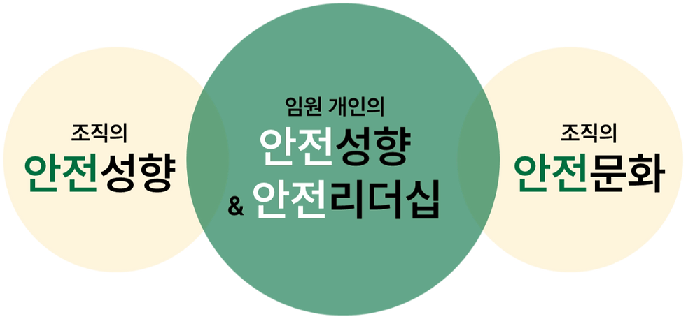 임원 안전코칭_섹션 3-1.png