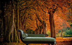 Interesting Read about Hypnotherapy